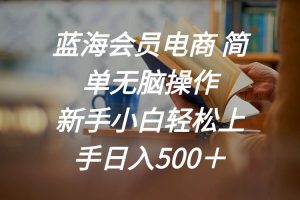 【2024.06.16】蓝海会员电商 简单无脑操作 新手小白轻松上手日入500＋百度网盘免费下载-芽米宝库
