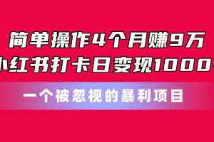 【2024.06.15】简单操作4个月赚9万！小红书打卡日变现1000+！一个被忽视的暴力项目百度网盘免费下载-芽米宝库