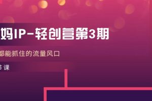 【2024.06.15】宝妈IP-轻创营第3期，人人都能抓住的流量风口（21节课）百度网盘免费下载-芽米宝库