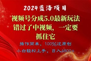 【2024.06.14】2024蓝海项目，视频号分成计划5.0最新玩法，错过了中视频，一定要抓住它百度网盘免费下载-芽米宝库