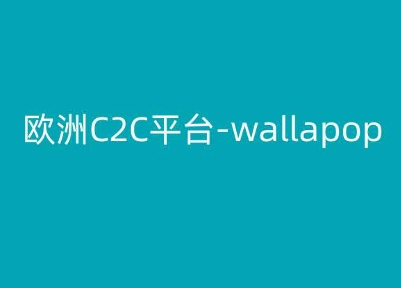图片[1]-【2024.06.13】欧洲C2C平台-wallapop-kim跨境电商教程百度网盘免费下载-芽米宝库
