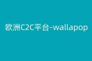 【2024.06.13】欧洲C2C平台-wallapop-kim跨境电商教程百度网盘免费下载-芽米宝库