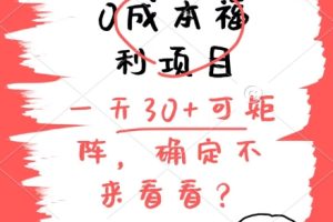 【2024.06.12】0成本福利项目，单号每天30+，可矩阵操作，赚点零花钱没问题百度网盘免费下载-芽米宝库