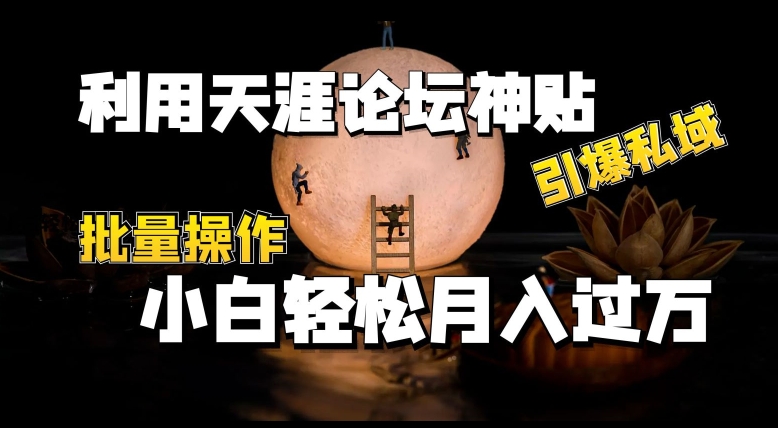 图片[1]-【2024.06.12】利用天涯论坛神贴，引爆私域，自动化成交，批量操作，小白轻松月入过万百度网盘免费下载-芽米宝库