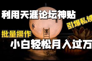 【2024.06.12】利用天涯论坛神贴，引爆私域，自动化成交，批量操作，小白轻松月入过万百度网盘免费下载-芽米宝库