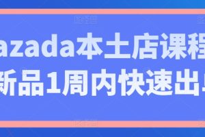 【2024.06.11】Lazada本土店课程，新品1周内快速出单百度网盘免费下载-芽米宝库