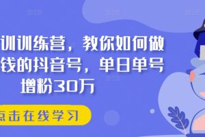 【2024.06.09】抖音实训训练营，教你如何做一个赚钱的抖音号，单日单号增粉30万百度网盘免费下载-芽米宝库