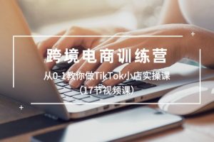 【2024.06.09】跨境电商训练营：从0-1教你做TikTok小店实操课（17节视频课）百度网盘免费下载-芽米宝库