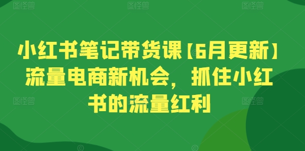 图片[1]-【2024.06.08】小红书笔记带货课【6月更新】流量电商新机会，抓住小红书的流量红利百度网盘免费下载-芽米宝库