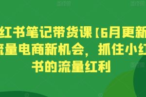 【2024.06.08】小红书笔记带货课【6月更新】流量电商新机会，抓住小红书的流量红利百度网盘免费下载-芽米宝库