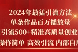【2024.06.07】2024年最猛暴力引流方法，单条作品百万播放 单日引流500+高质量精准创业粉百度网盘免费下载-芽米宝库