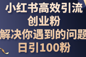 【2024.06.07】小红书高效引流创业粉，解决你遇到的问题，日引100粉百度网盘免费下载-芽米宝库