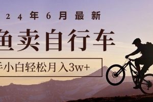 【2024.06.07】2024年6月最新闲鱼卖自行车，新手小白轻松月入3w+项目百度网盘免费下载-芽米宝库