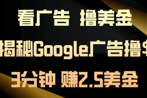 【2024.06.06】看广告，撸美金！3分钟赚2.5美金！日入200美金不是梦！揭秘Google广告撸收益的秘诀百度网盘免费下载-芽米宝库