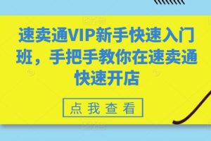 【2024.06.04】速卖通VIP新手快速入门班，手把手教你在速卖通快速开店百度网盘免费下载-芽米宝库