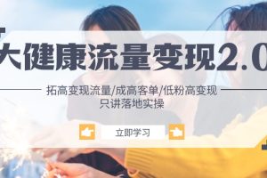 【2024.06.04】大健康流量变现2.0：拓高变现 流量/成高客单/低粉高变现/只讲落地实战百度网盘免费下载-芽米宝库
