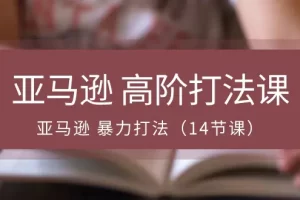 【2024.06.04】亚马逊 高阶打法课，亚马逊 暴力打法（14节课）百度网盘免费下载-芽米宝库
