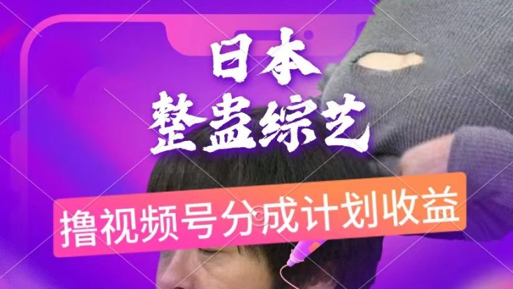 图片[1]-【2024.06.04】日本整蛊综艺，撸视频号分成计划收益，每天只需一小时，新手小白轻松上手百度网盘免费下载-芽米宝库