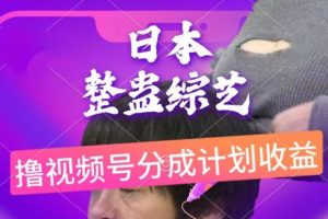 【2024.06.04】日本整蛊综艺，撸视频号分成计划收益，每天只需一小时，新手小白轻松上手百度网盘免费下载-芽米宝库