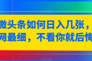【2024.06.04】微头条如何日入几张，全网最细，不看你就后悔了百度网盘免费下载-芽米宝库