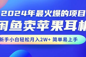 【2024.06.03】2024年最火爆的项目，闲鱼卖苹果耳机，新手小白轻松月入2W+简单易上手百度网盘免费下载-芽米宝库