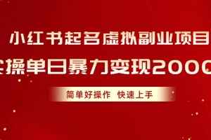 【2024.06.03】小红书起名虚拟副业项目，实操单日暴力变现2000+，简单好操作，快速上手百度网盘免费下载-芽米宝库