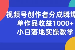 【2024.06.03】视频号创作者分成瞬爆流，单作品收益1000+，小白落地实操教学百度网盘免费下载-芽米宝库