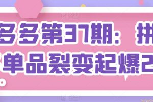 【2024.06.03】拼多多第37期：拼多多单品裂变起爆2.0百度网盘免费下载-芽米宝库
