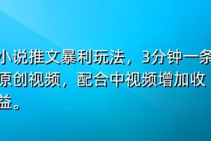 【2024.06.02】小说推文暴利玩法，3分钟一条原创视频，加入中视频计划多一份收益百度网盘免费下载-芽米宝库