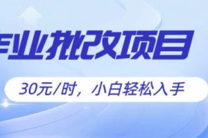 【2024.06.02】批改作业项目，30元时，简单容易上手，适合宝妈，大学生百度网盘免费下载-芽米宝库