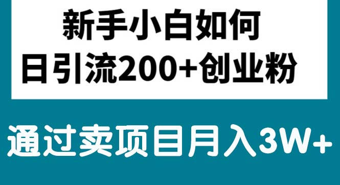 图片[1]-【2024.06.02】新手小白日引流200+创业粉,通过卖项目月入3W+百度网盘免费下载-芽米宝库