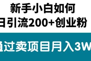 【2024.06.02】新手小白日引流200+创业粉,通过卖项目月入3W+百度网盘免费下载-芽米宝库