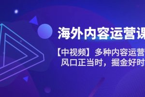 【2024.06.02】海外内容 运营课【中视频】多种内容运营玩法 风口正当时 掘金好时机-101节百度网盘免费下载-芽米宝库
