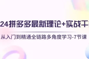 【2024.06.01】2024拼多多 最新理论+实战干货，从入门到精通全链路多角度学习-7节课百度网盘免费下载-芽米宝库