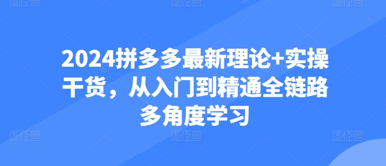 图片[1]-【2024.06.01】2024拼多多最新理论+实操干货，从入门到精通全链路多角度学习百度网盘免费下载-芽米宝库