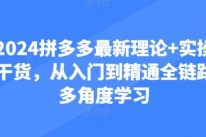 【2024.06.01】2024拼多多最新理论+实操干货，从入门到精通全链路多角度学习百度网盘免费下载-芽米宝库