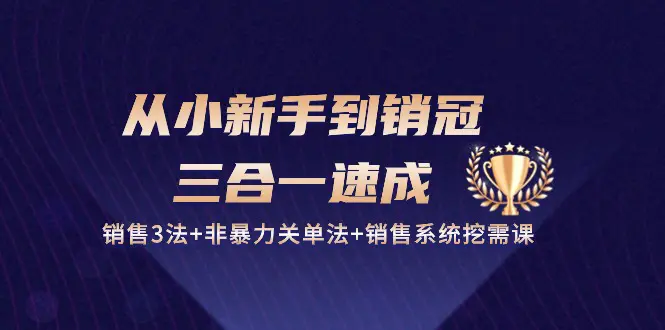 图片[1]-【2024.05.31】从小新手到销冠 三合一速成：销售3法+非暴力关单法+销售系统挖需课 (27节)百度网盘免费下载-芽米宝库