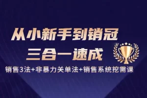 【2024.05.31】从小新手到销冠 三合一速成：销售3法+非暴力关单法+销售系统挖需课 (27节)百度网盘免费下载-芽米宝库