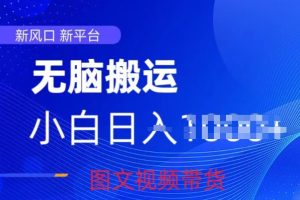 【2024.05.29】京东视频图文搬运带货项目，蓝海赛道小白轻松上手，每天一小时轻松获取收益百度网盘免费下载-芽米宝库