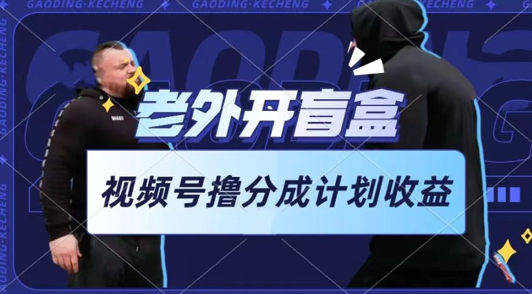 图片[1]-【2024.05.29】老外开盲盒视频，撸视频号分成计划收益，每天只需一小时，新手小白轻松上手百度网盘免费下载-芽米宝库