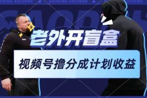 【2024.05.29】老外开盲盒视频，撸视频号分成计划收益，每天只需一小时，新手小白轻松上手百度网盘免费下载-芽米宝库
