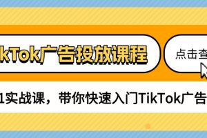 【2024.05.27】TikTok广告投放课程，从0-1实战课，带你快速入门TikTok广告投放（30节课）百度网盘免费下载-芽米宝库