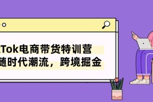 【2024.05.27】TikTok电商带货特训营，跟随时代潮流，跨境掘金（8节课）百度网盘免费下载-芽米宝库