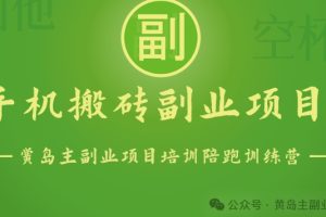 【2024.05.24】手机搬砖小副业项目训练营1.0，实测1小时收益50+，一部手机轻松日入100+百度网盘免费下载-芽米宝库