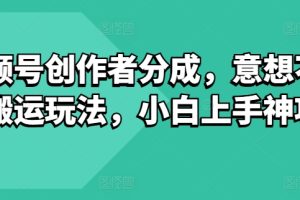 【2024.05.24】视频号创作者分成，意想不到的搬运玩法，小白上手神项目百度网盘免费下载-芽米宝库