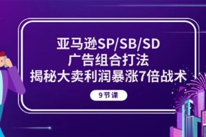 【2024.05.25】亚马逊SP/SB/SD广告组合打法，揭秘大卖利润暴涨7倍战术 (9节课)百度网盘免费下载-芽米宝库