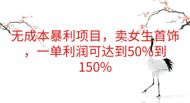 图片[1]-【2024.05.24】无成本暴利项目，卖女生首饰，一单利润可达到50%到150%百度网盘免费下载-芽米宝库