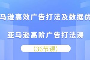 【2024.05.23】亚马逊高效广告打法及数据优化，亚马逊高阶广告打法课（36节）百度网盘免费下载-芽米宝库