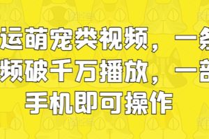【2024.05.22】搬运萌宠类视频，一条视频破千万播放，一部手机即可操作百度网盘免费下载-芽米宝库