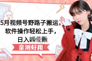 【2024.05.22】5月视频号野路子搬运，软件操作轻松上手，日入三位数百度网盘免费下载-芽米宝库